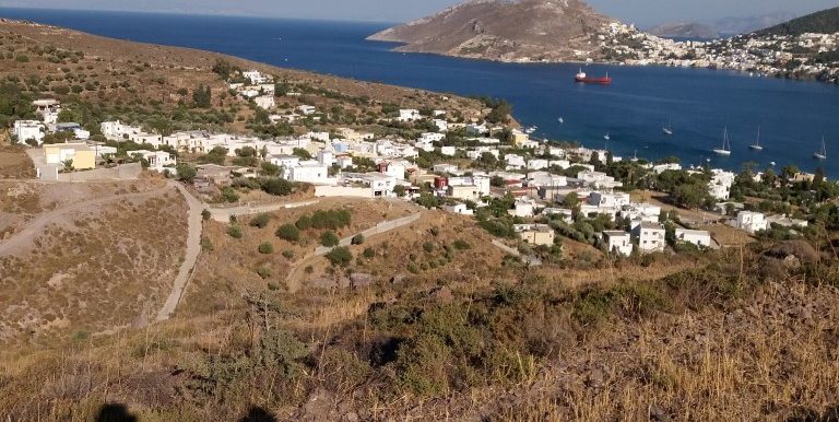 20170711_182136 (Medium)