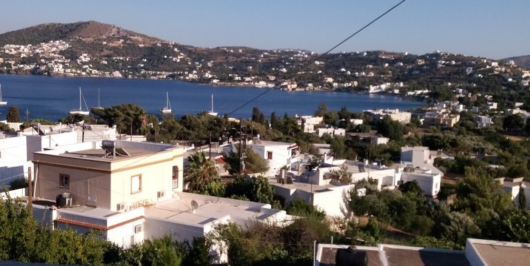 20170711_185519 (Medium)