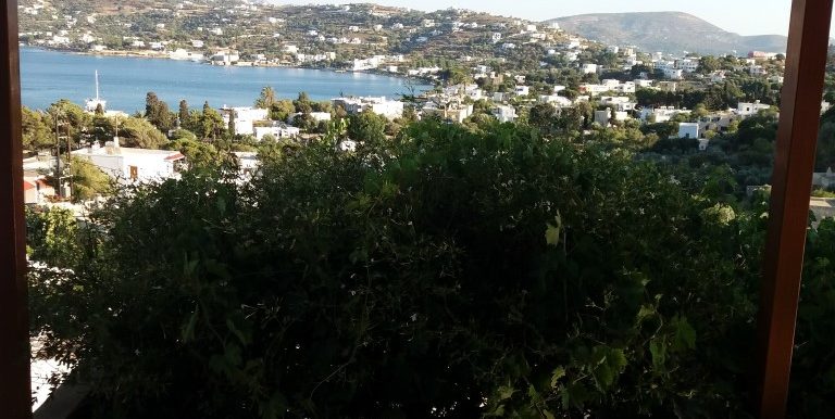 20170711_185628 (Medium)