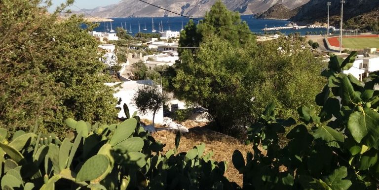 20170712_183031 (Medium)