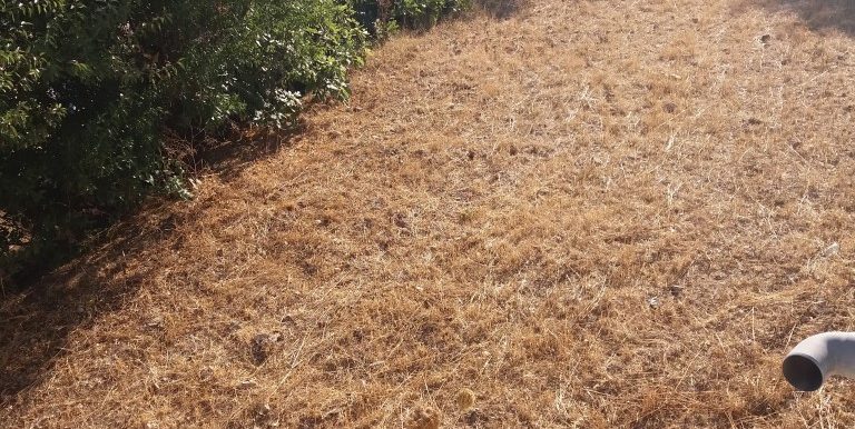 20170712_183050 (Medium)