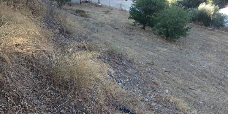 20170712_185413 (Medium)