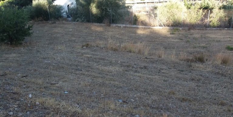 20170712_185416 (Medium)