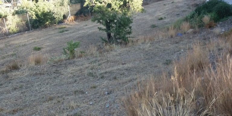 20170712_185420 (Medium)