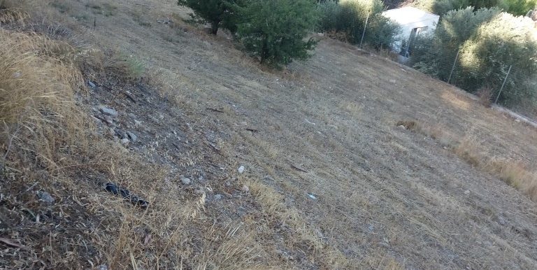 20170712_185425 (Medium)