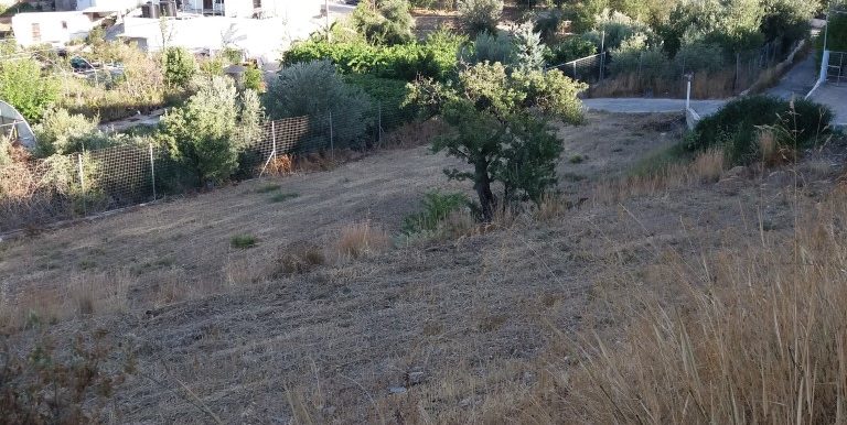 20170712_185515 (Medium)