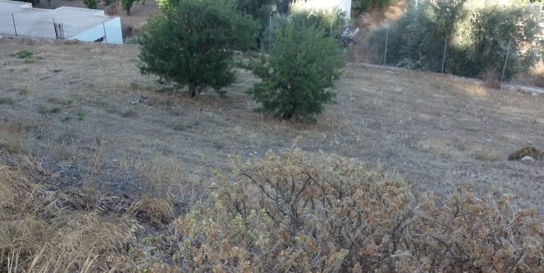 20170712_185520 (Medium)