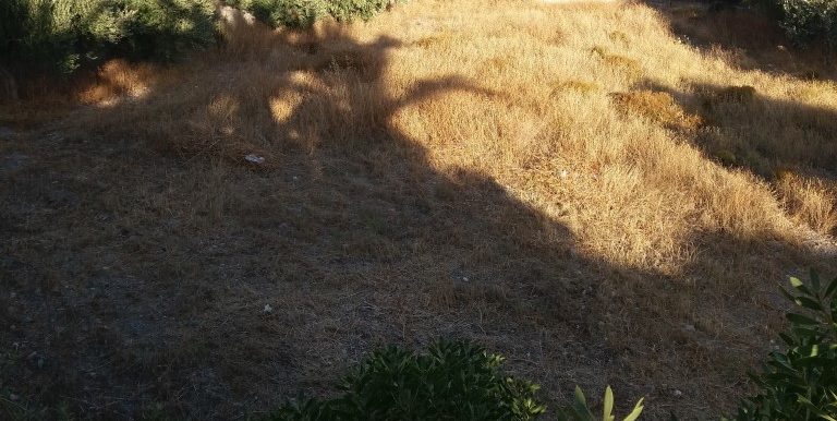 20170712_190936 (Medium)