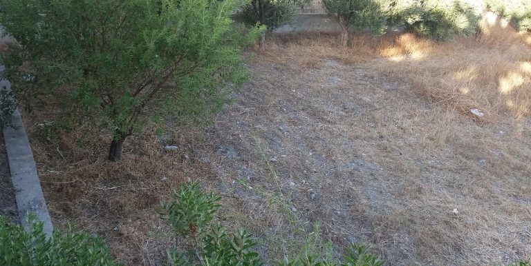 20170712_190943 (Medium)