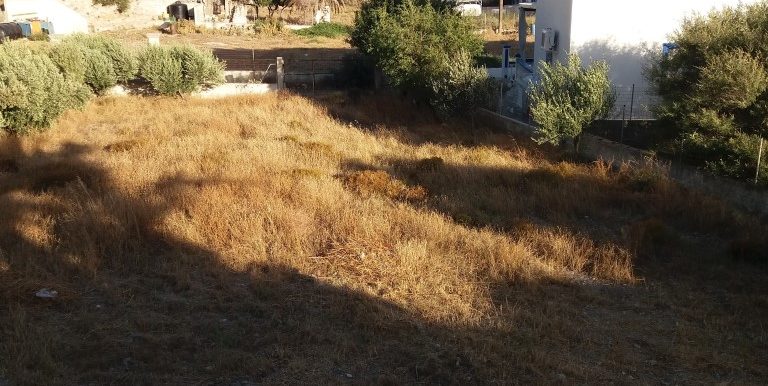 20170712_191006 (Medium)