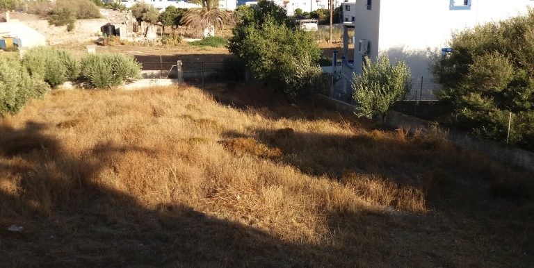 20170712_191013 (Medium)