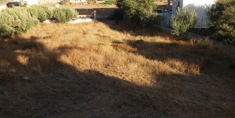 20170712_191020 (Medium)