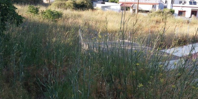 20170712_191343 (Medium)