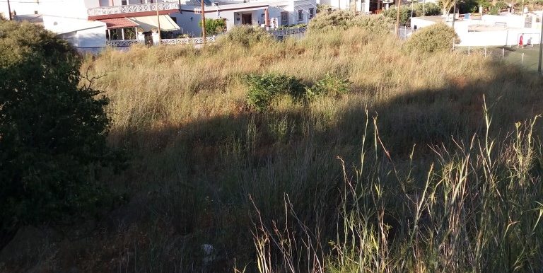 20170712_191459 (Medium)