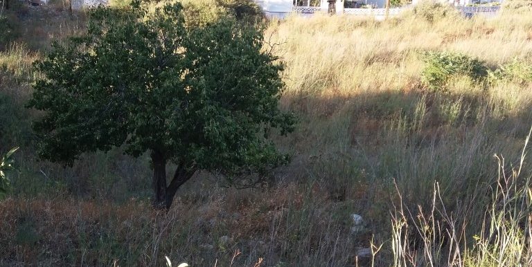 20170712_191505 (Medium)