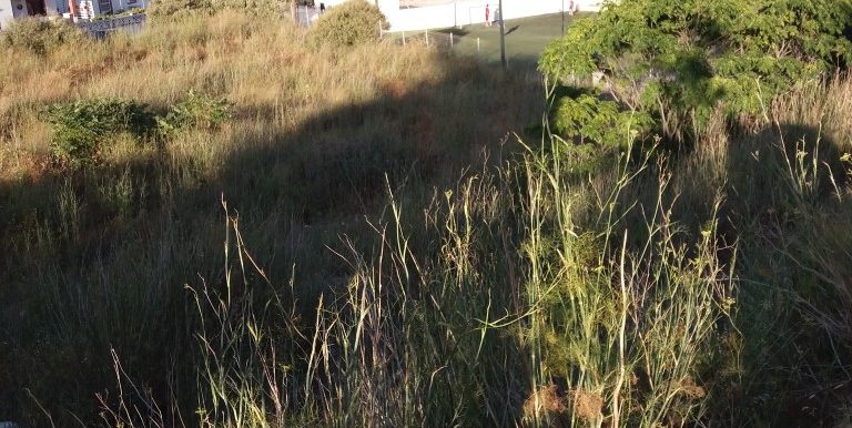 20170712_191514 (Medium)