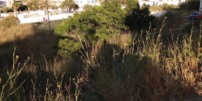 20170712_191522 (Medium)