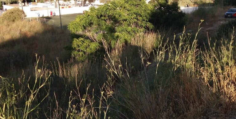 20170712_191530 (Medium)