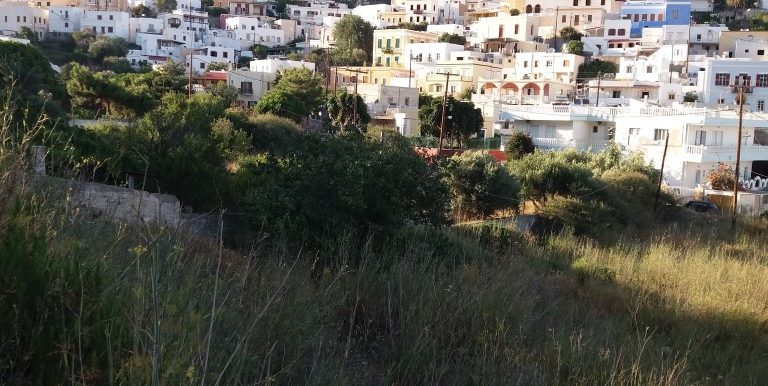 20170712_191759 (Medium)