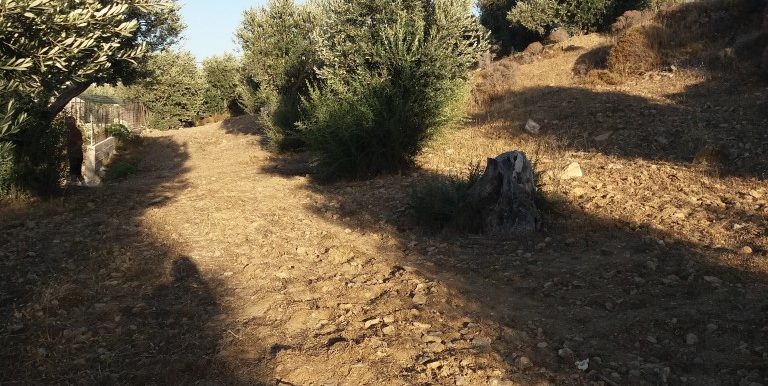 20170712_192838 (Medium)