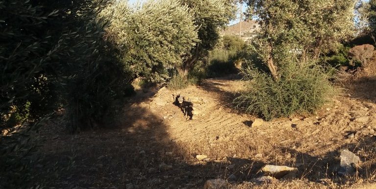 20170712_193002 (Medium)