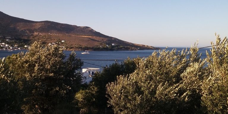 20170712_193151 (Medium)