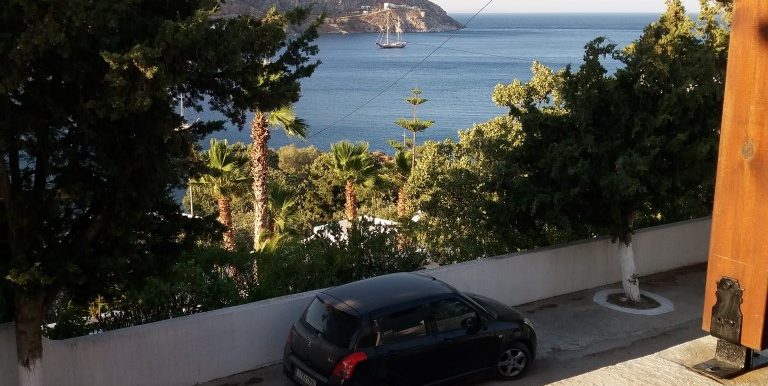 20170713_191736 (Medium)