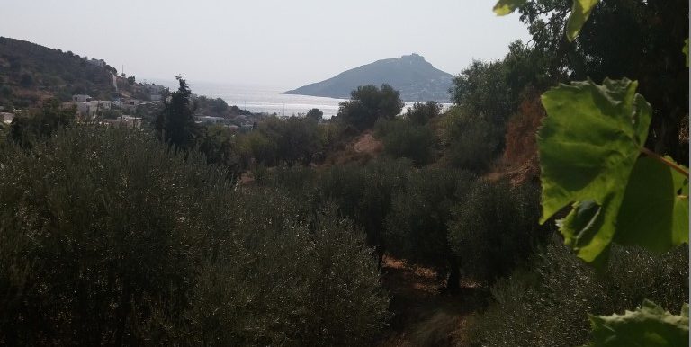 20170810_102658 (Medium)