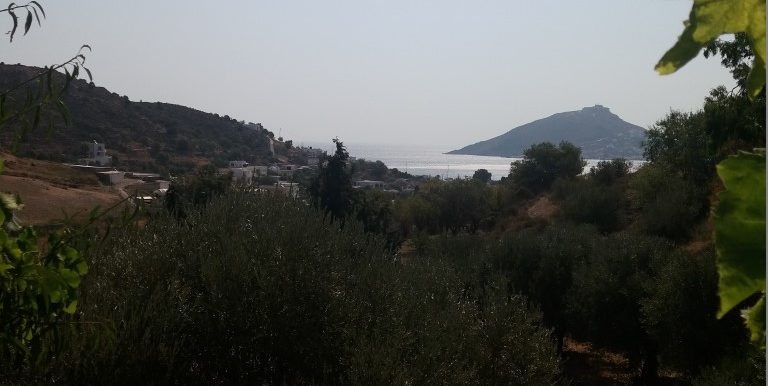 20170810_102707 (Medium)