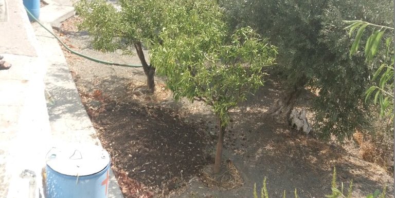 20170810_102718 (Medium)