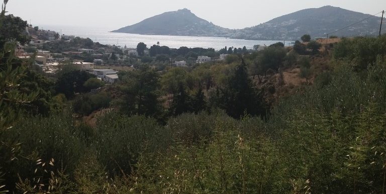 20170810_102822 (Medium)