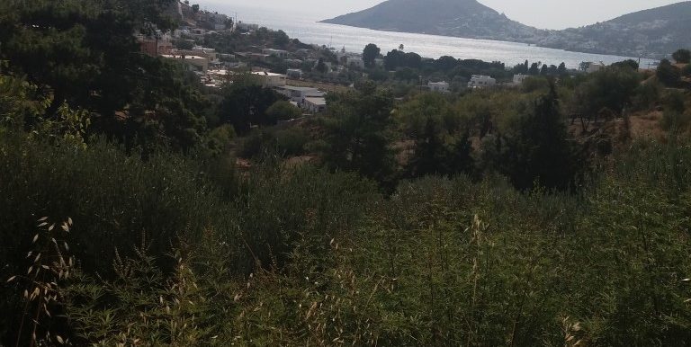 20170810_102827 (Medium)