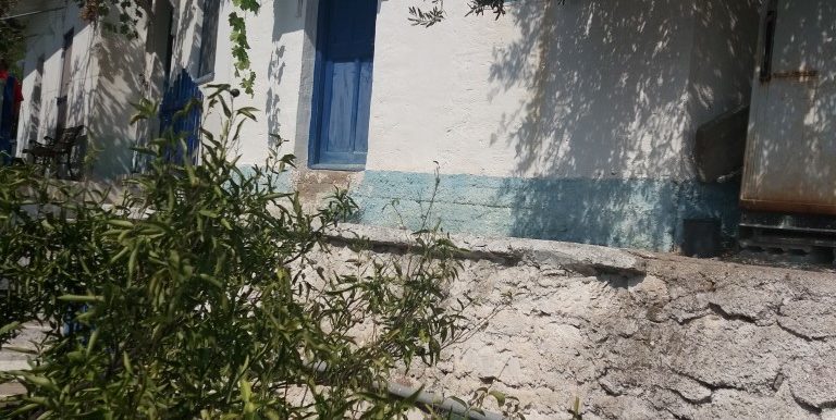 20170810_103008 (Medium)