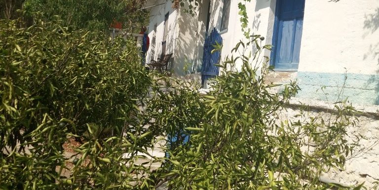 20170810_103011 (Medium)