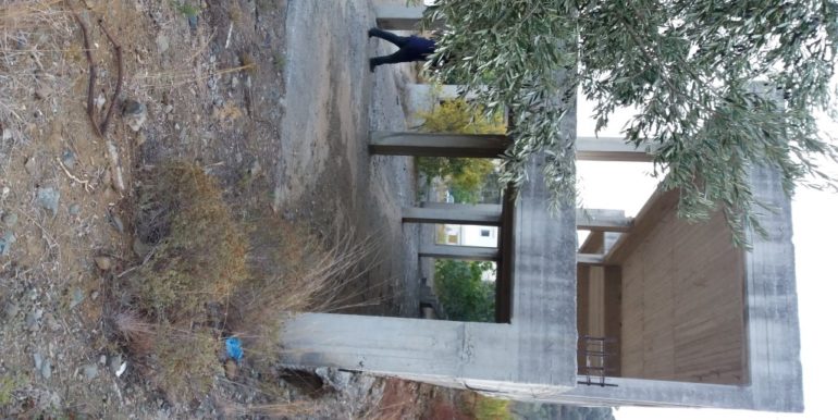 20171023_175246 (Custom)