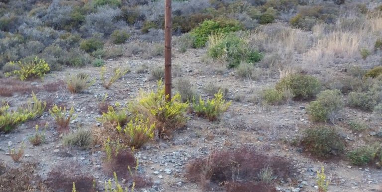 20171023_175333 (Custom)