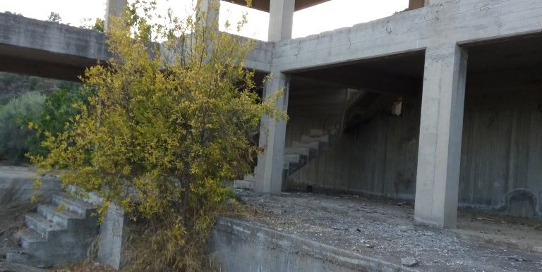 20171023_175514 (Custom)