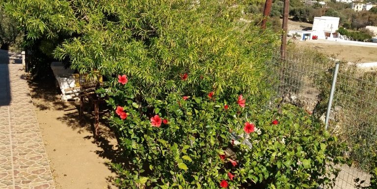 20171102_102034 (Custom)