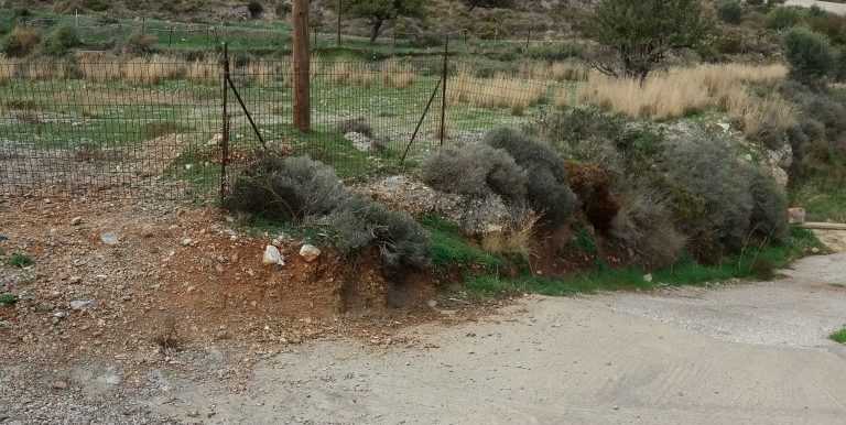 20171118_103940 (Custom)