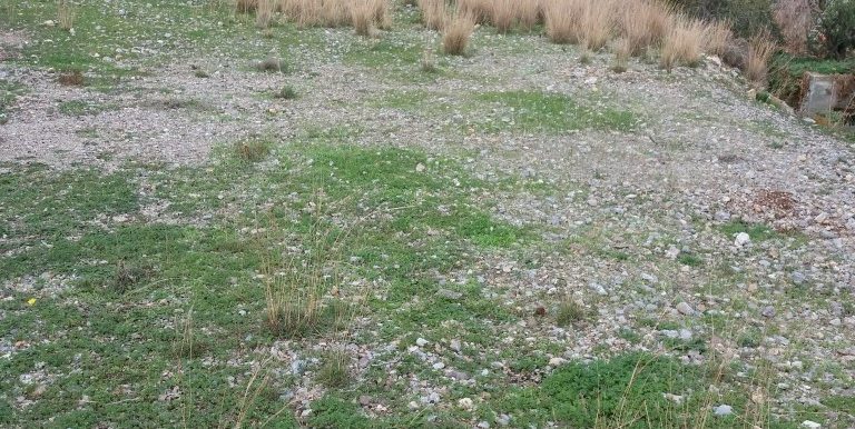 20171118_104021 (Custom)