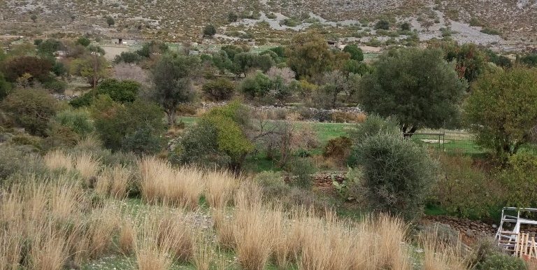 20171118_104109 (Custom)