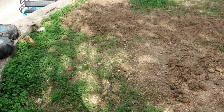 20171118_110347 (Custom)