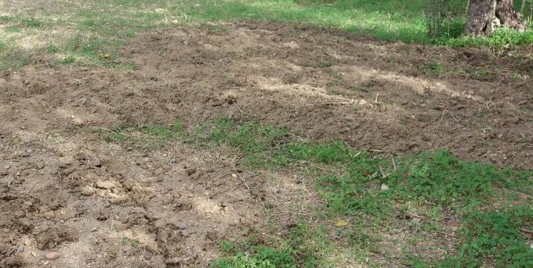 20171118_110353 (Custom)