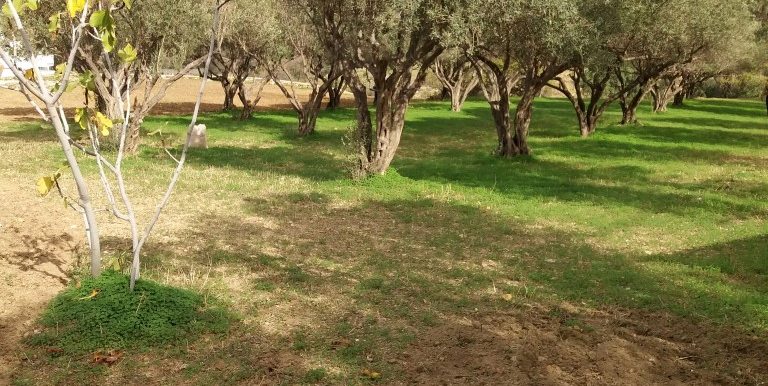 20171118_110401 (Custom)