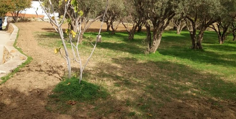 20171118_110403 (Custom)