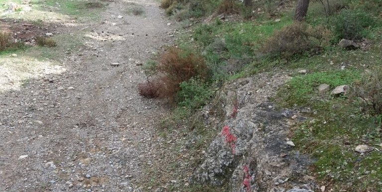 20171118_111934 (Custom)