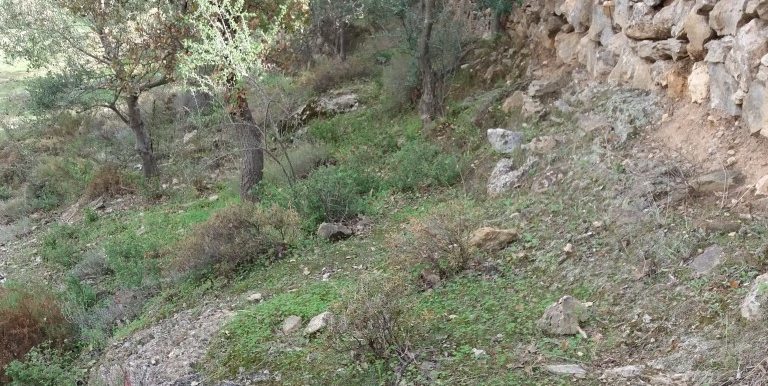 20171118_111937 (Custom)