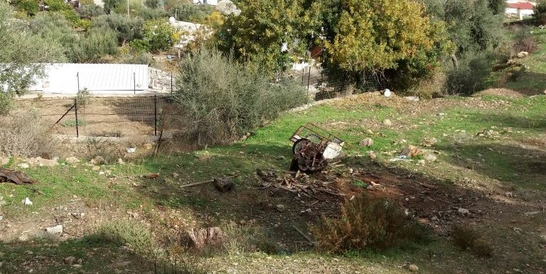 20171118_111944 (Custom)