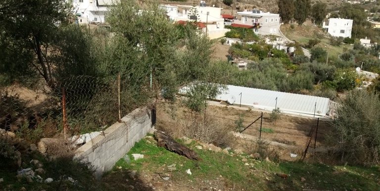 20171118_111949 (Custom)