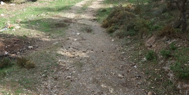 20171118_111954 (Custom)